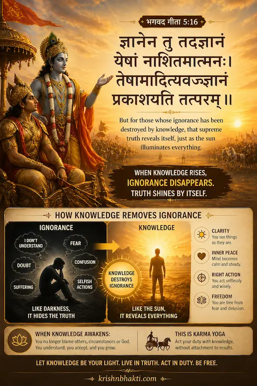 जब 'पागलपन' ही असली 'शांति' बन जाए: भगवद गीता 5:16 और आत्मज्ञान का उदय